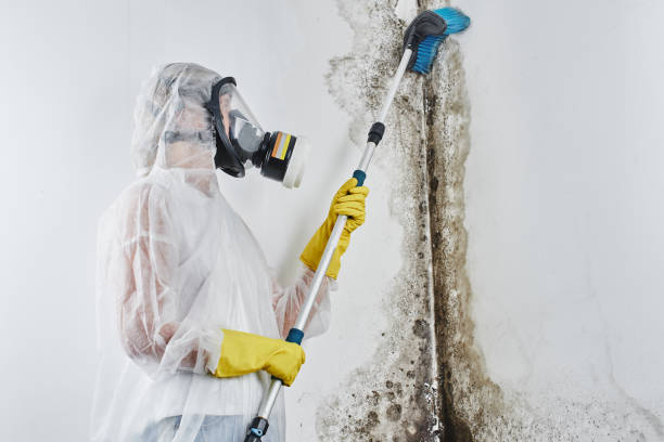 Crawl Space Mold Removal in Evans, GA
