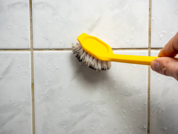 Professional Mold Removal in Evans, GA