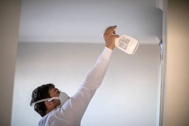 Best Mold Removal Near Me  in Evans, GA