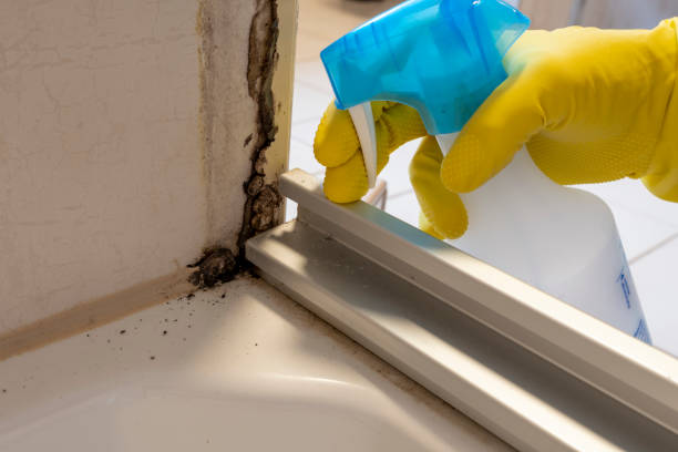 Certified Mold Removal in Evans, GA