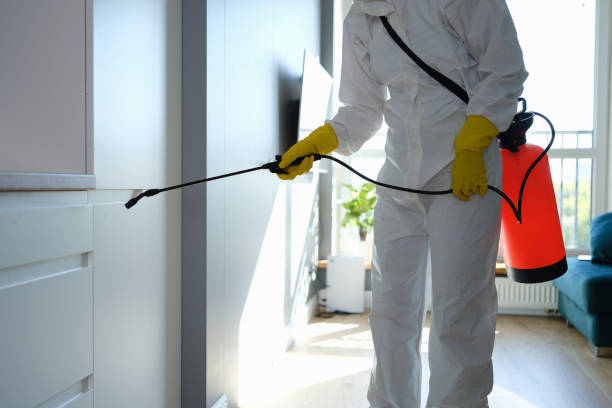 Best Same-Day Mold Removal  in Evans, GA