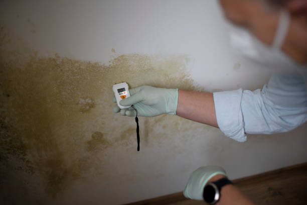 Best Residential Mold Removal  in Evans, GA