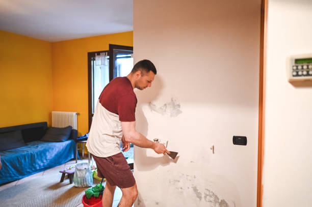 Best Crawl Space Mold Removal  in Evans, GA